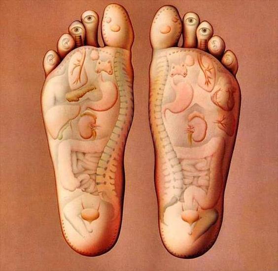 - Mapy ciała - - foot reflexology.jpg
