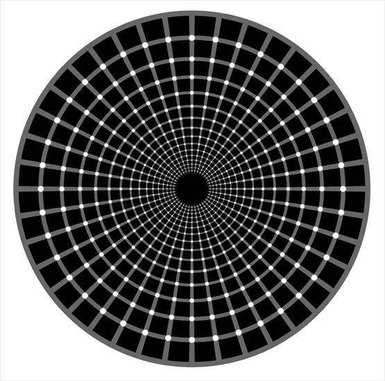 Illusions - zoptic5.gif