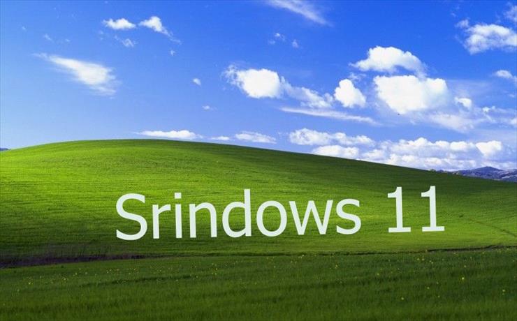 srindows - Srindows 10 pro v48.jpg