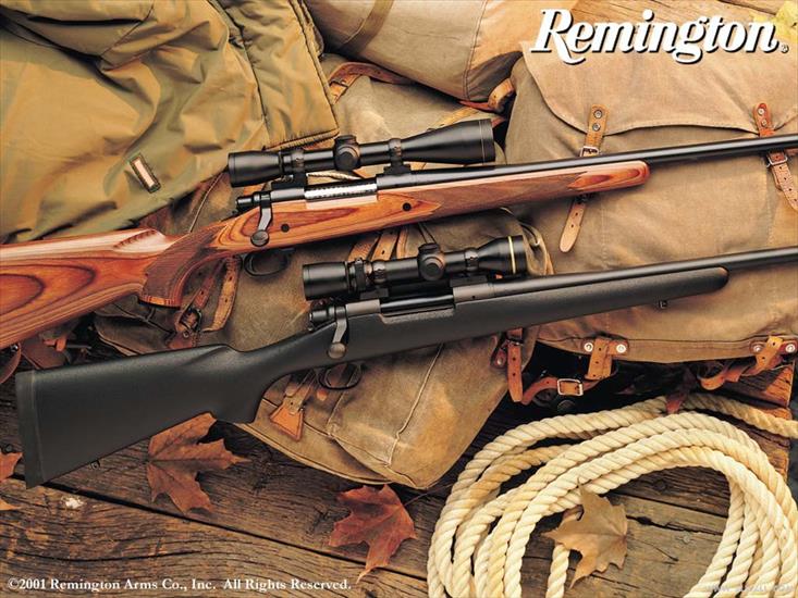 Guns Wallpapers - remington_16.jpg