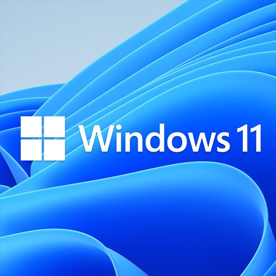 W 11 Pro PL Windows 11 23H2 No TPM, No SecureBoot MARZEC 2024 x64 PL - folder.jpeg