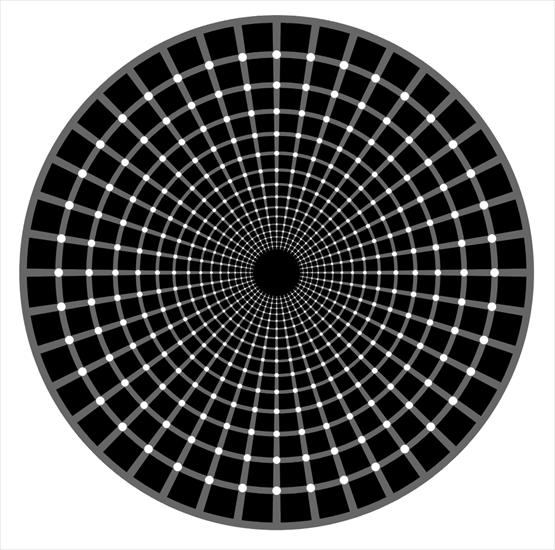 Optical.Illusions - 293-OpTiK.gif