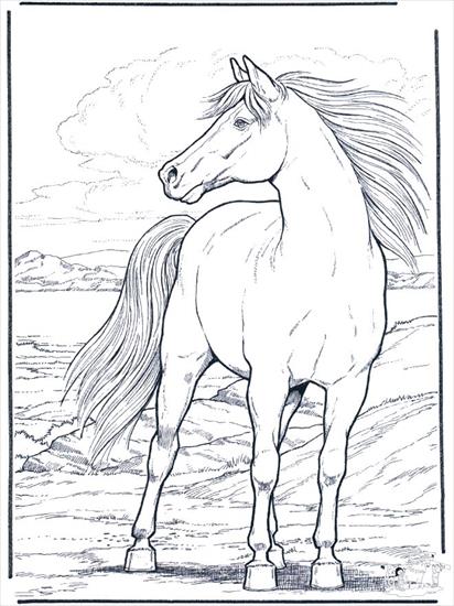 koń - 55e9d1a9bc125a82cde8112f3937fb01--horse-coloring-pages-printable-coloring-pages.jpg