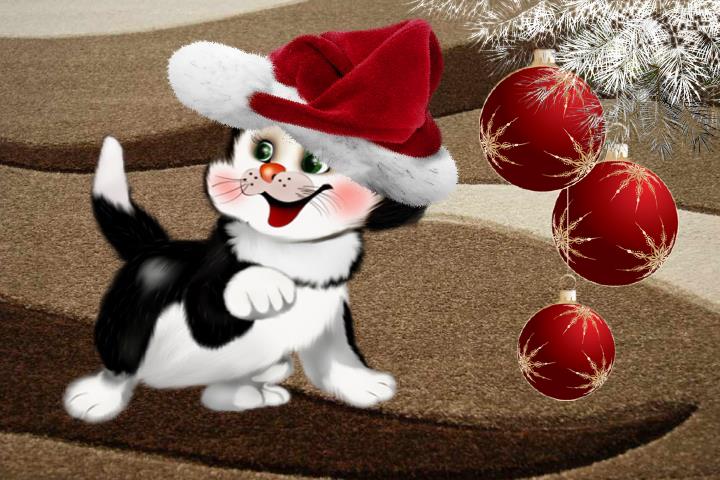 Tapety - Kot w kapeluszu  - seria - Tapeta  świąteczna.jpg