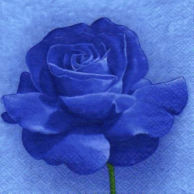 Niebieskie-Róże - 82737249945922622691.gif