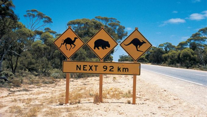 DROGI 1 - Eyre-Highway-in-Australia.jpg